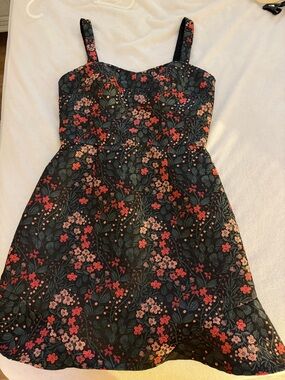 Hutch Black Floral Mini Dress with Red and Pink Flowers